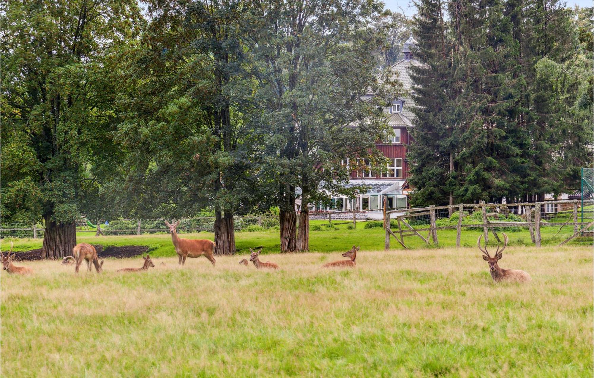 Stunning Home In Oberharz With Wifi Беннекенштайн Экстерьер фото